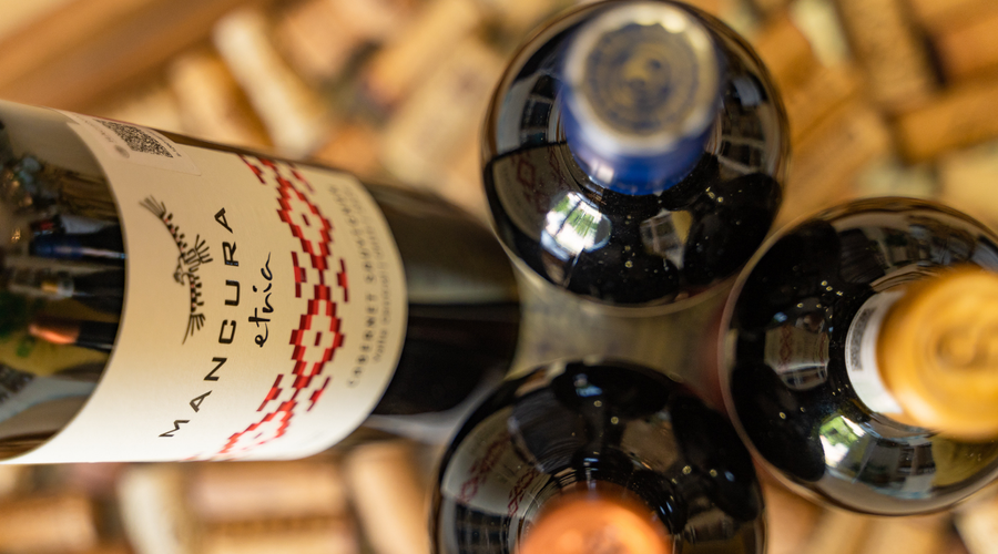 Explora con nosotros la Ruta del Vino en Chile