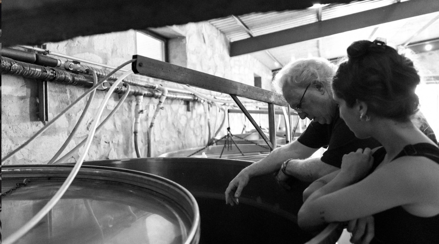 Vinos Pijoan: The Rebel Heart of Valle de Guadalupe