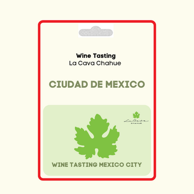 CATA DE VINOS CIUDAD DE MÉXICO