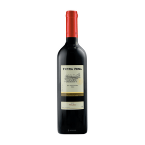 TERRA VEGA CLASICO MALBEC